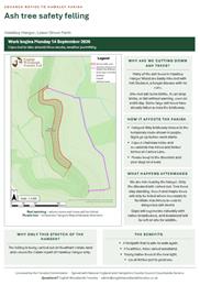 Notification of forestry works in Hawkley Hanger